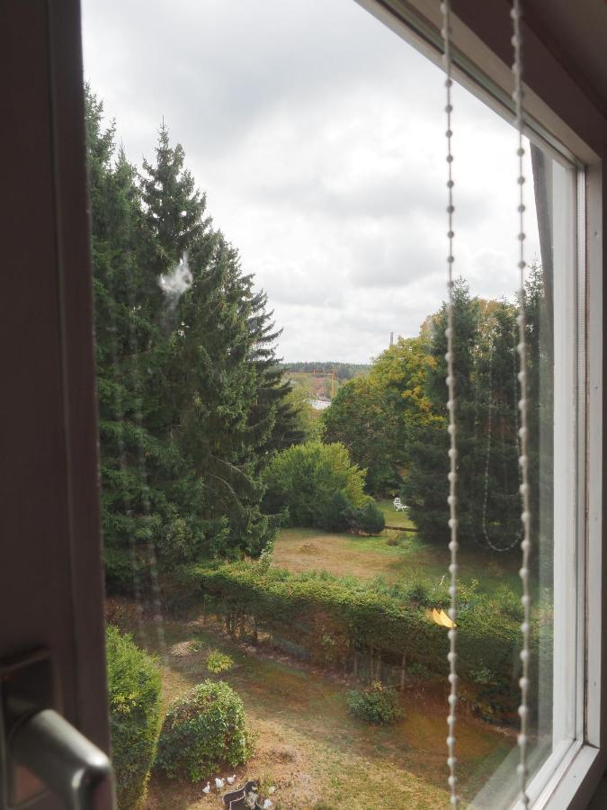 Apartments Carmen Braunlage Zewnętrze zdjęcie